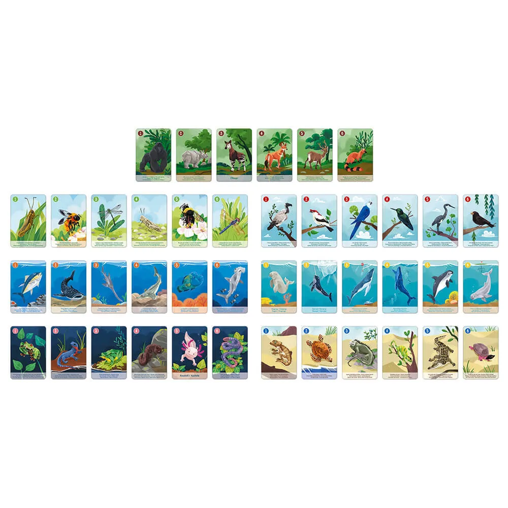 7 FAMILIES: ANIMAL KINGDOM