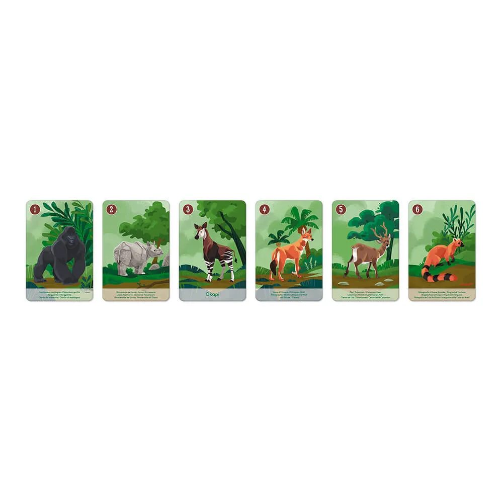 7 FAMILIES: ANIMAL KINGDOM