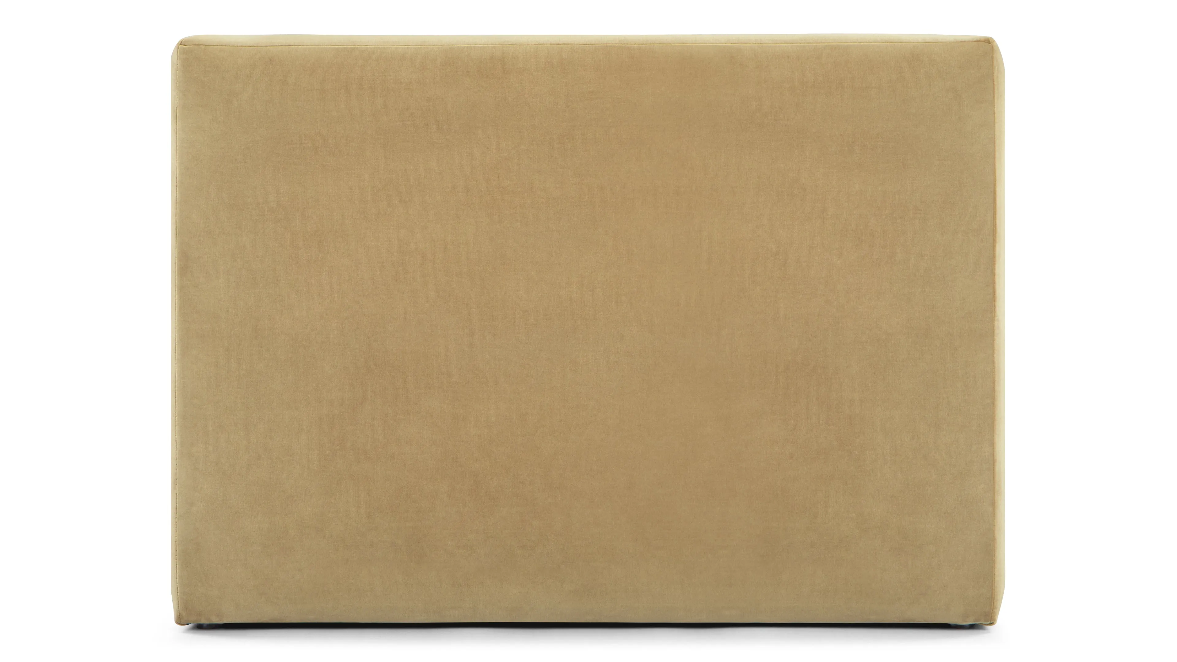 Olsen - Olsen Lounge Chair, Honey Velvet