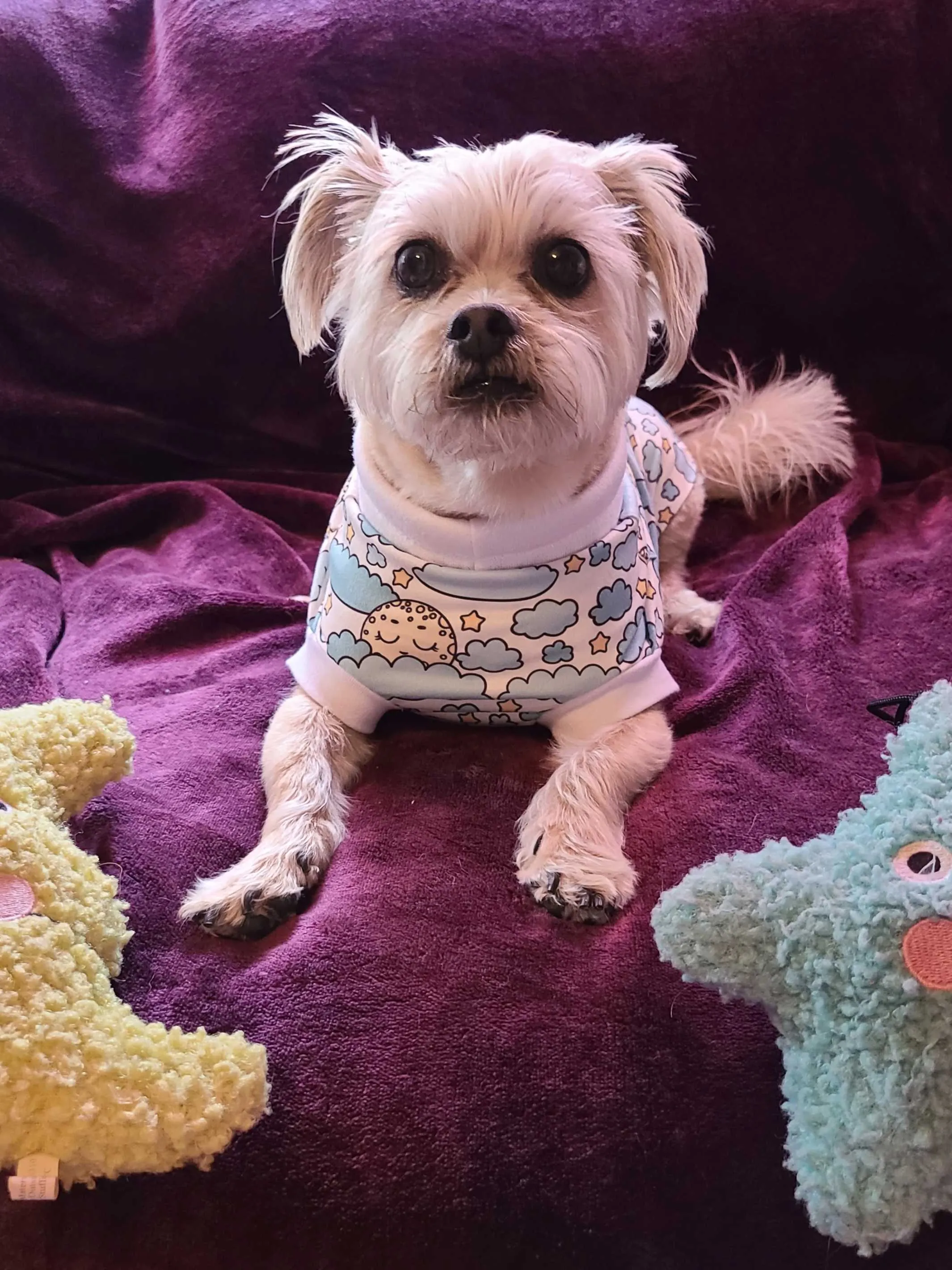Sleepy Moon Dog Pajamas