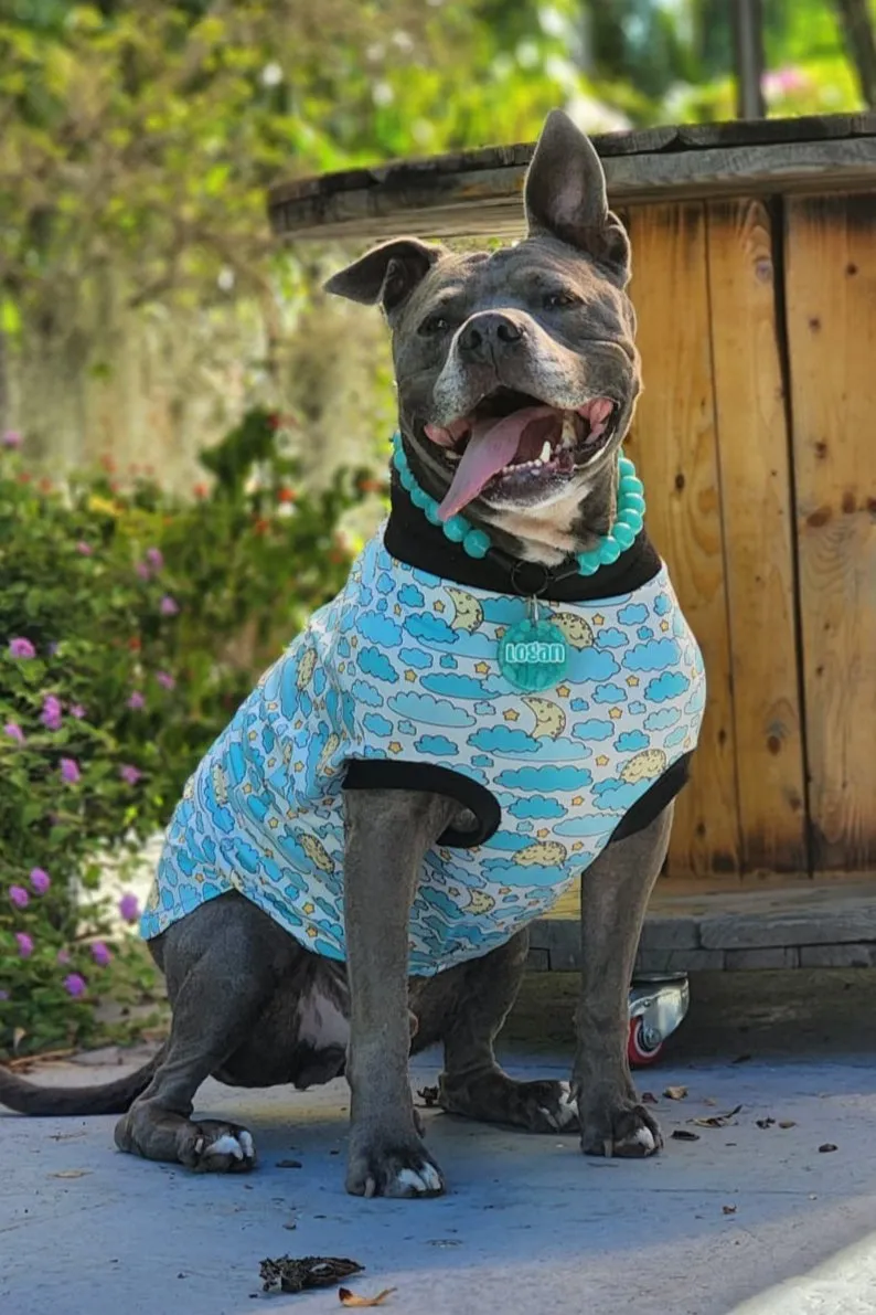 Sleepy Moon Dog Pajamas
