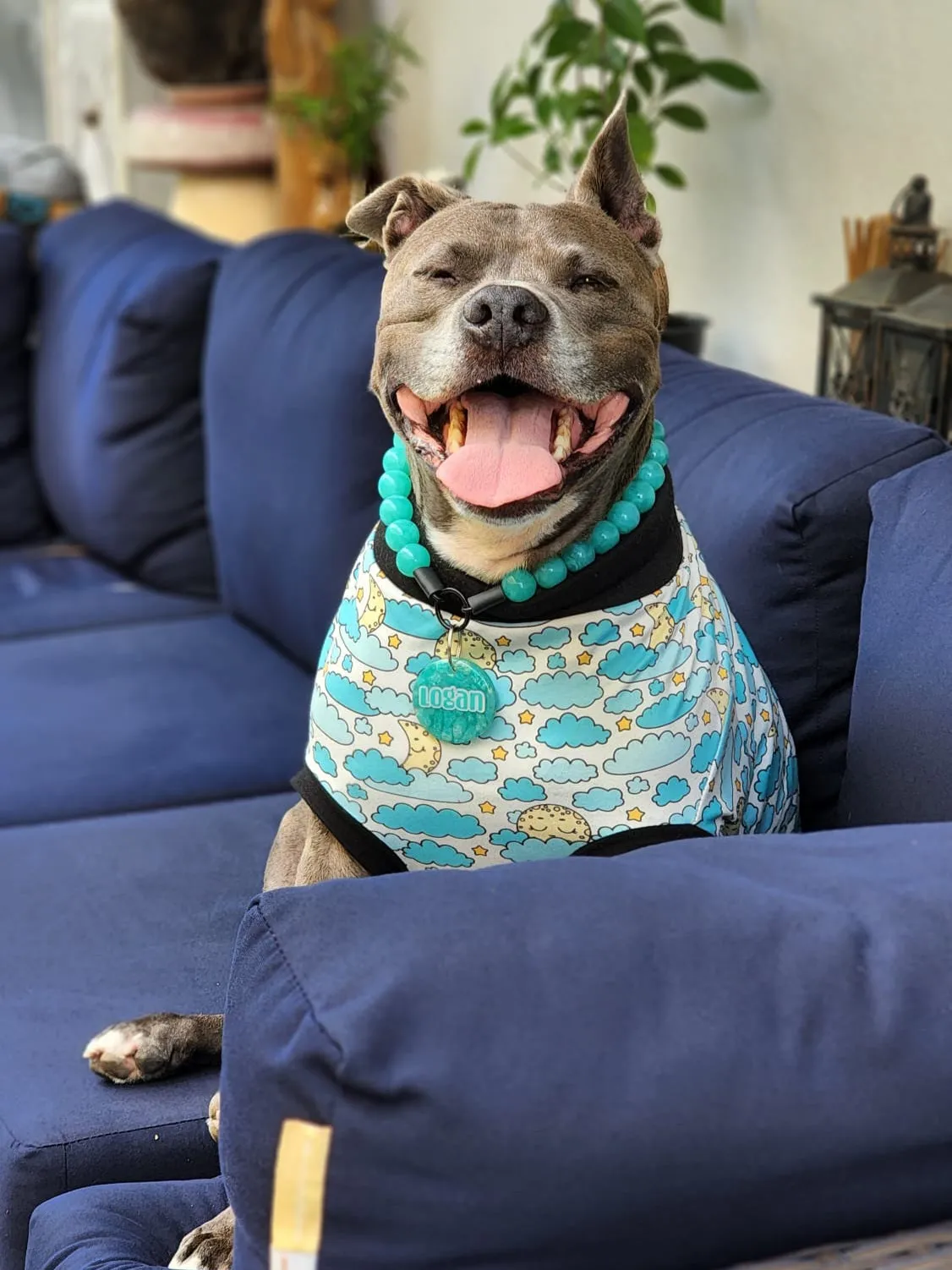 Sleepy Moon Dog Pajamas